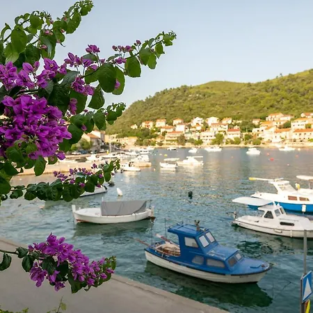 Bugenvilija Apartment