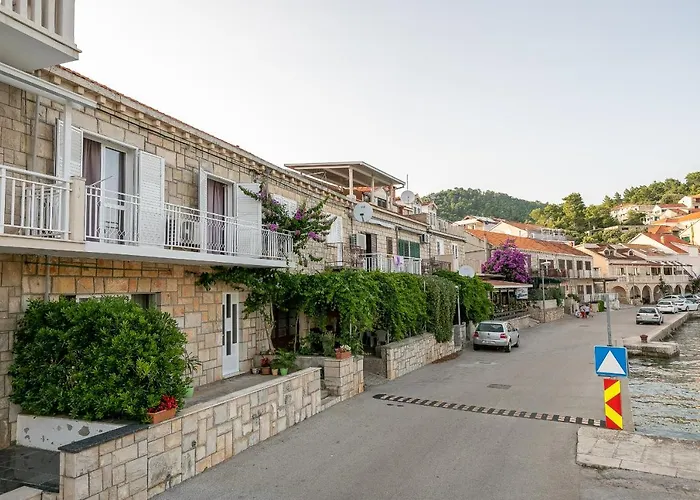 Bugenvilija 布尔纳